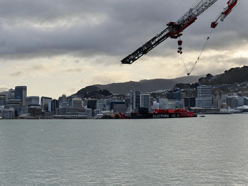 Body Recovered from Wellington Harbour After Crane Jump